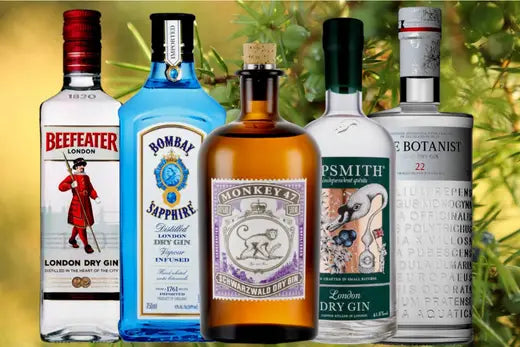 7 Loại Rượu Gin Độc Đáo Sẽ giúp bạn trở thành người sành rượu