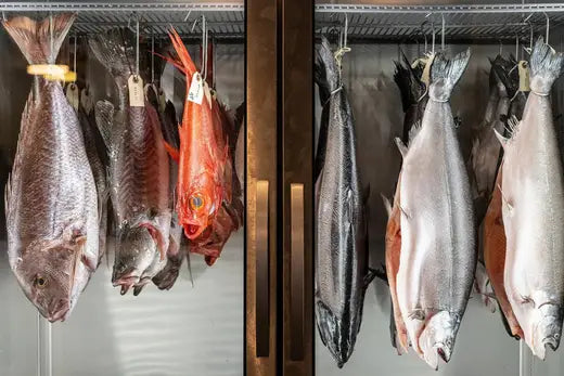 Vì Sao Cá Ủ Khô (Dry aged) Xuất Hiện Khắp Mọi Nơi, Mọi Lúc Ở Los Angeles