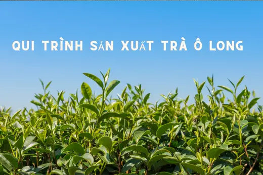 Trà Ô Long Và Những Thông Tin Thú Vị