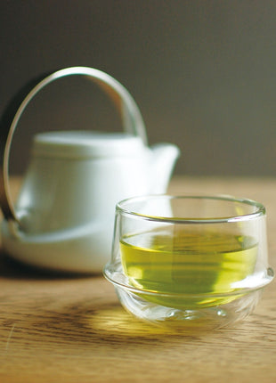 Kinto | Coffee & Tea Cups Kronos Ly Uống Trà Cách