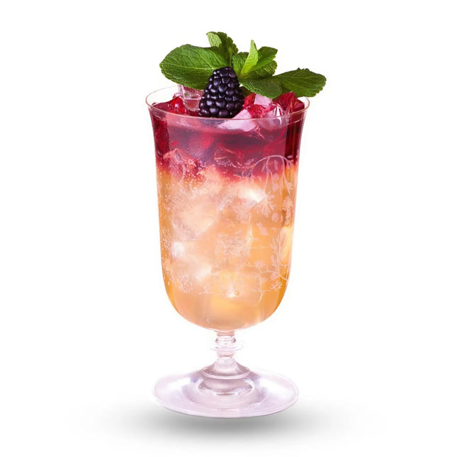 Mixer | Fruit Purees & Mixes | MIXER Puree dâu đen