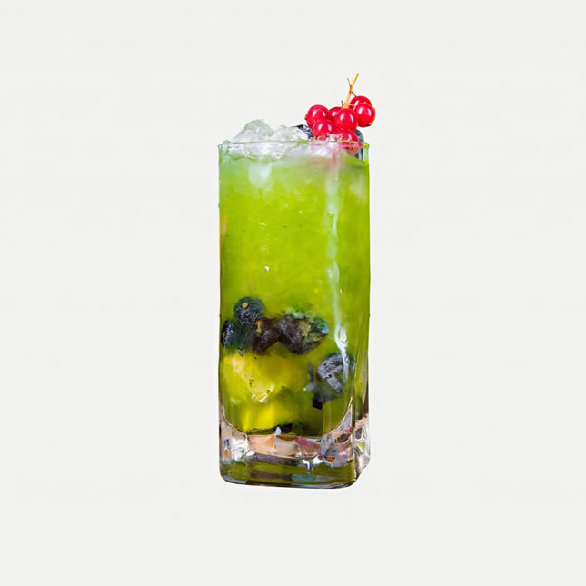 Mixer | Fruit Purees & Mixes | MIXER Puree Kiwi nguyên