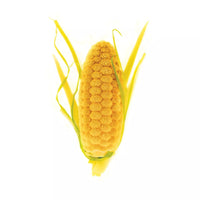 Silikomart | Pannocchia 20 – Khuôn Silicone Tạo Hình Ngô