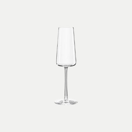 Stoelzle | Champagne Glasses | Stölzle Lausitz Power